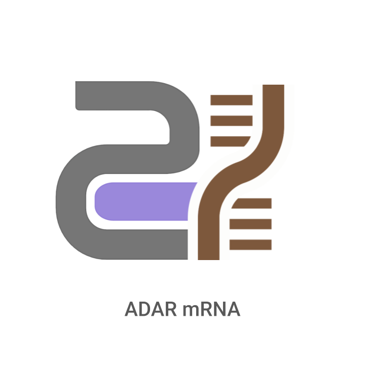 Logo with 'ADAR mRNA' text on a white background