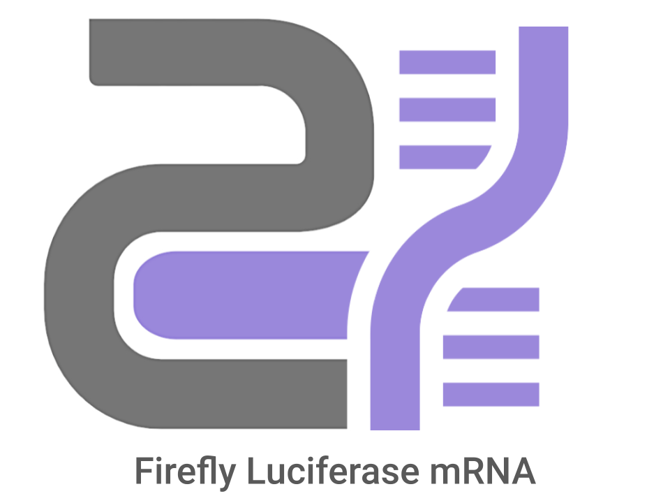 CatPure™ FLuc mRNA