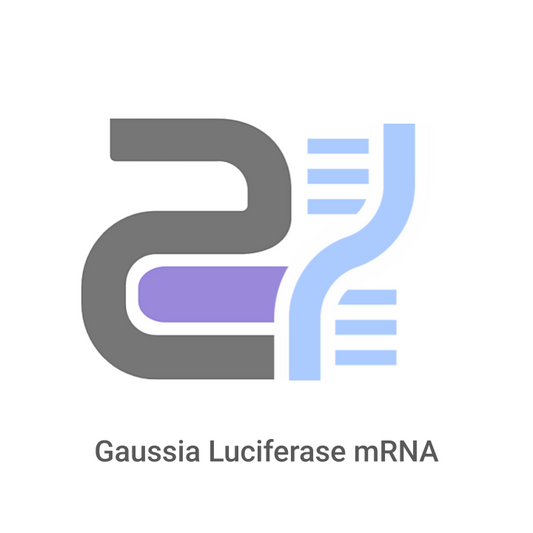 Logo with DNA strand and text 'Gaussia Luciferase mRNA' on a white background