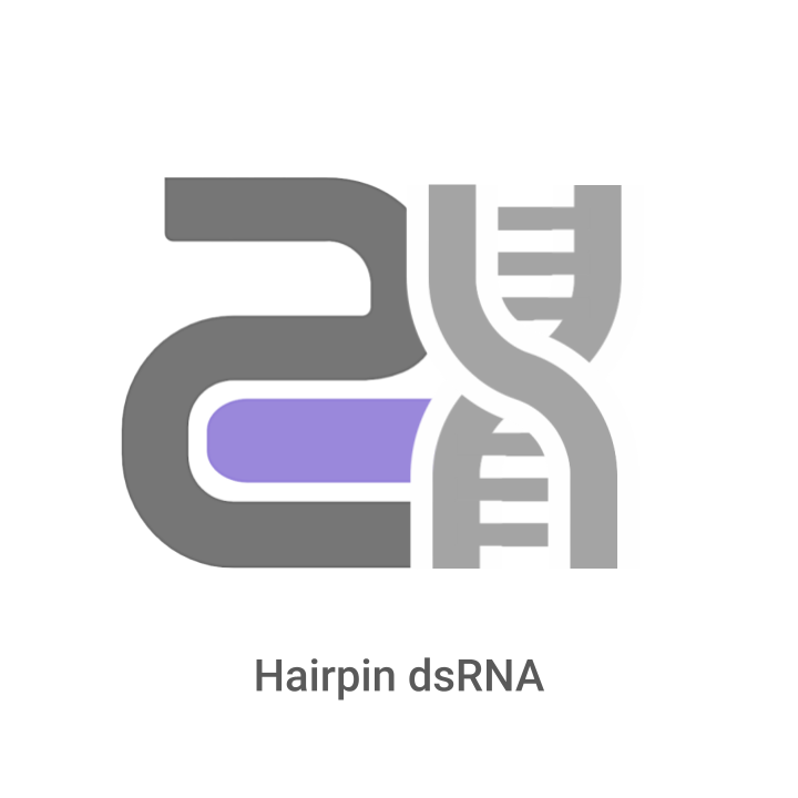 Logo of Hairpin dsRNA with gray and purple design on a white background