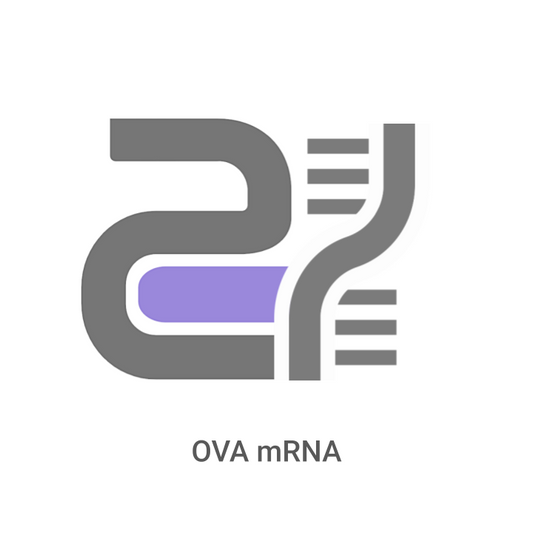 Logo with the text 'OVA mRNA' on a white background