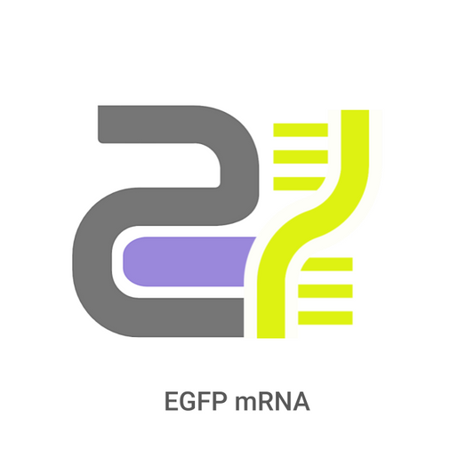 Logo with DNA strand and text 'EGFP mRNA' on a white background