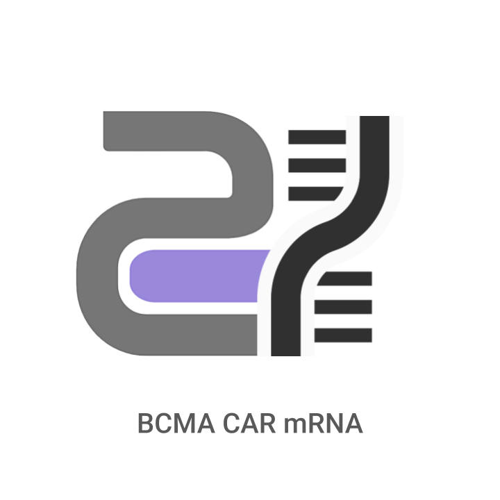 Logo with DNA strands and 'BCMA CAR mRNA' text on a white background