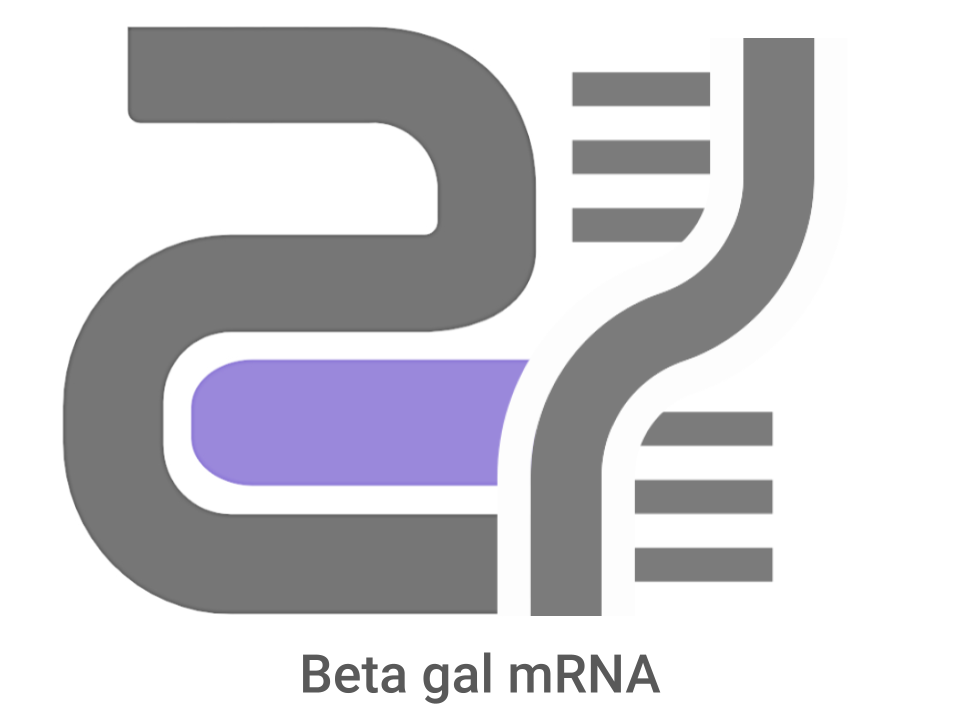 CatPure™ Beta gal mRNA