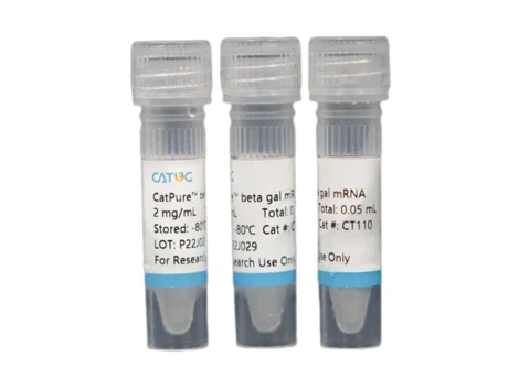 CatPure™ Beta gal mRNA