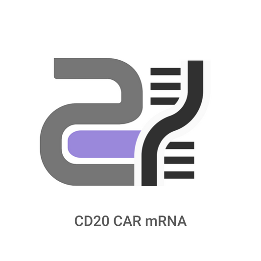 Logo with DNA strand and text 'CD20 CAR mRNA' on a white background