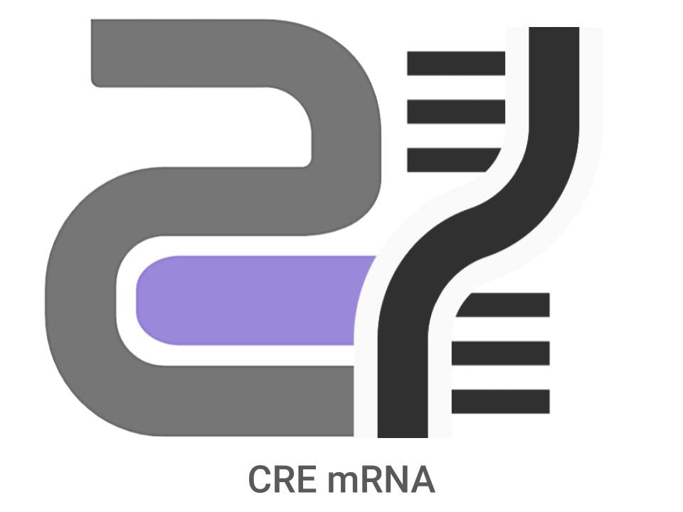 CatPure™ Cre mRNA