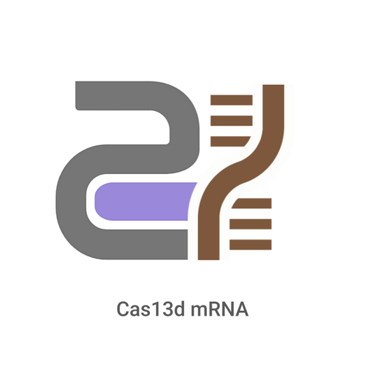 Logo or icon representing Cas13d mRNA with gray, purple, and brown elements on a white background.