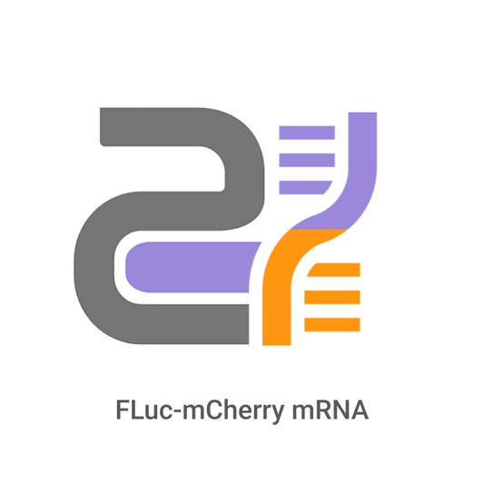 Logo with DNA strands and text 'Fluc-mCherry mRNA' on a white background