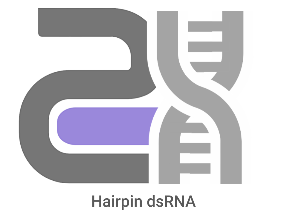 CatPure™ hairpin double stranded RNA (dsRNA)
