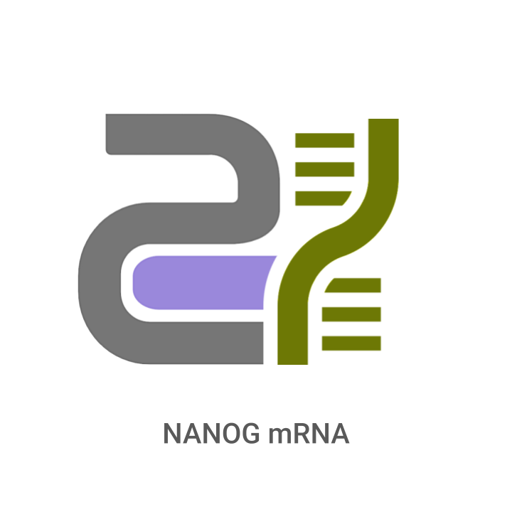 Logo with DNA strand and text 'NANOG mRNA' on a white background