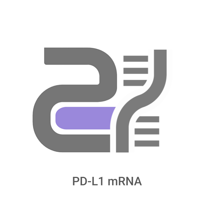 Logo with the text 'PD-L1 mRNA' on a white background