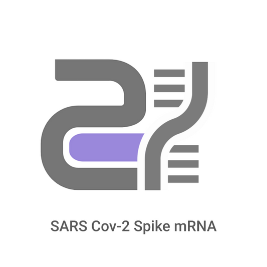 Logo with text 'SARS Cov-2 Spike mRNA' on a white background