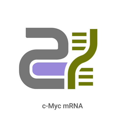 Logo or icon representing c-Myc mRNA with gray, purple, and green elements on a white background.