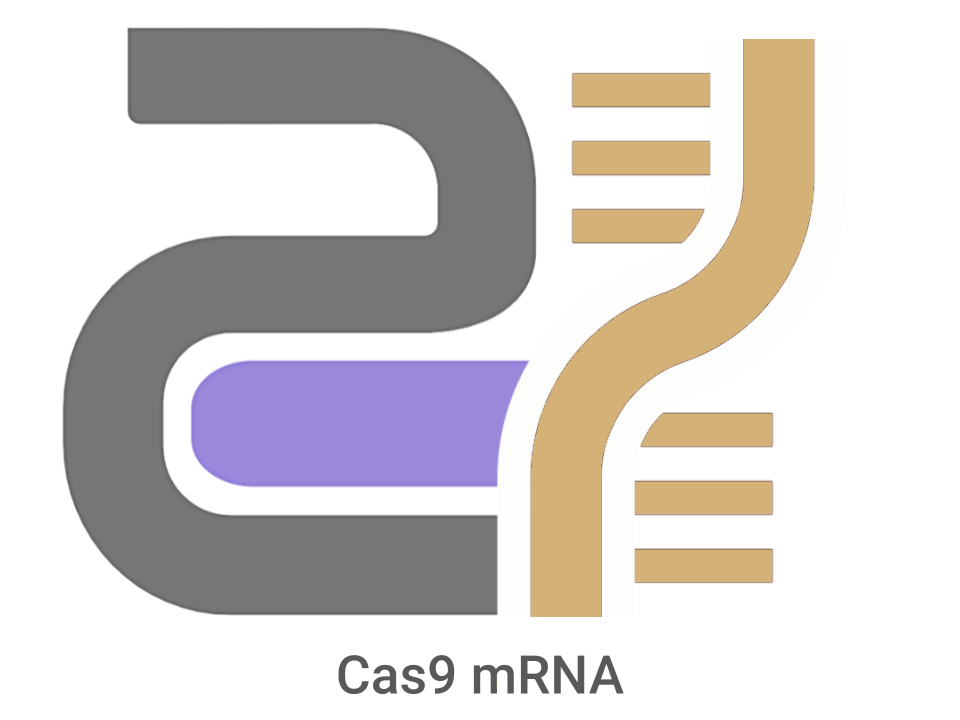 CatPure™ Cas9 mRNA