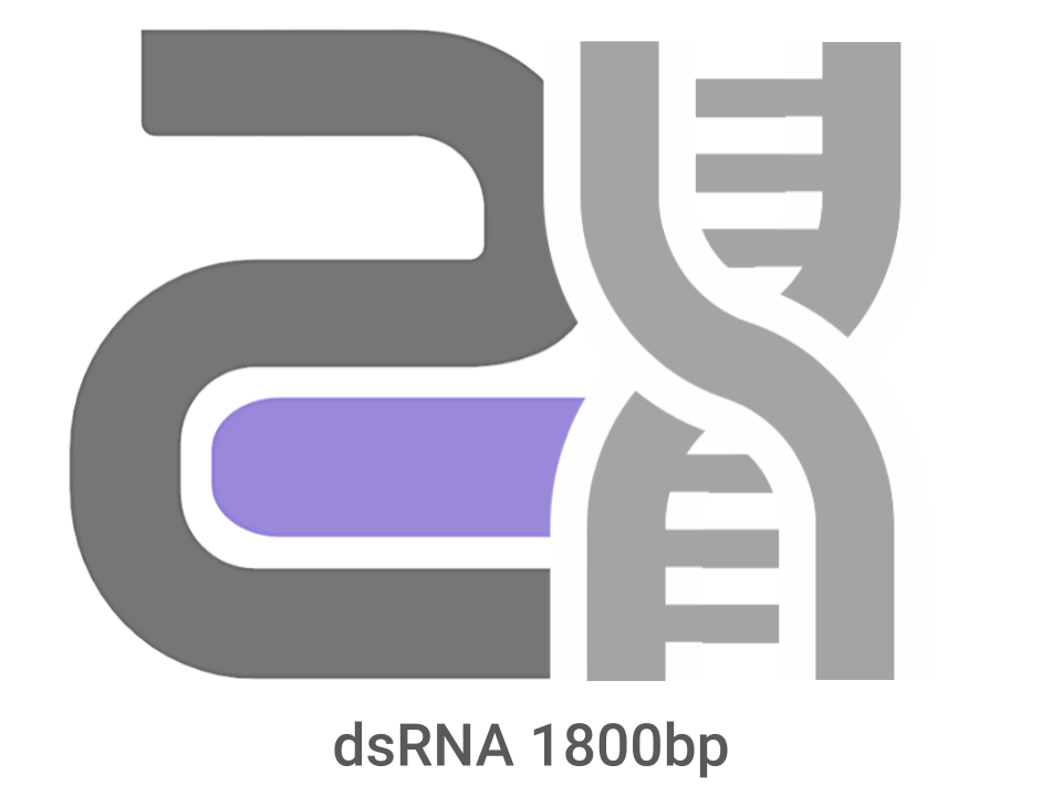 CatPure™ double stranded RNA (dsRNA) 1800