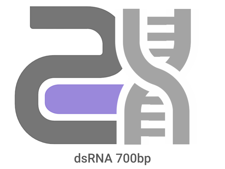 CatPure™ double stranded RNA (dsRNA) 700