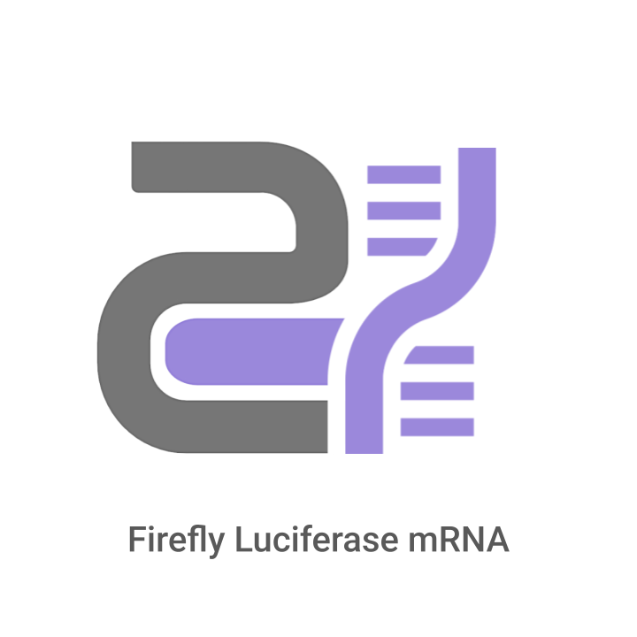 Logo of Firefly Luciferase mRNA with gray and purple design on a white background