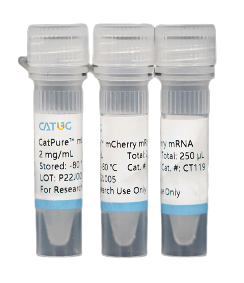 CatPure™ mCherry mRNA