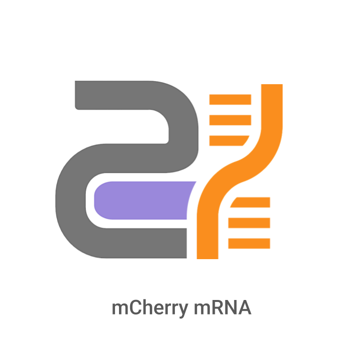 Logo of mCherry mRNA with gray, purple, and orange elements on a white background